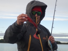 Ursuit Märketin iso huppu antaa hyvin suojaa pahaa aavistamattomalle kalastajalle.